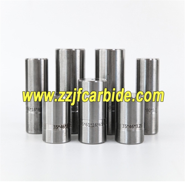 Preform Tungsten Carbide Wire Drawing Dies